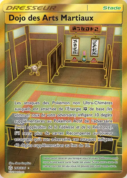 Dojo des Arts Martiaux