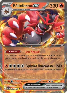 Félinferno