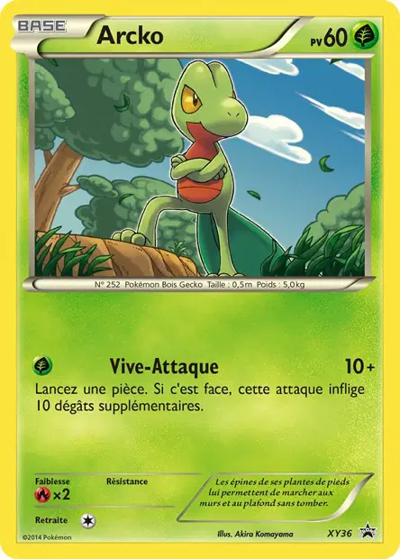 Promos X&Y #36