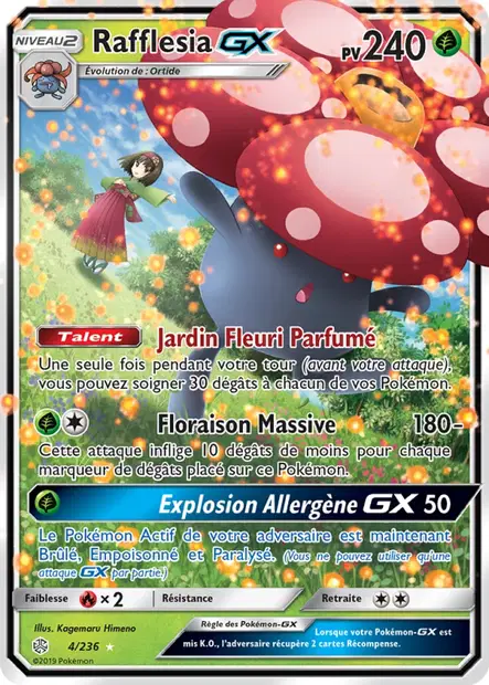 Rafflesia
