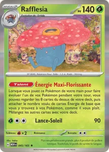 Rafflesia