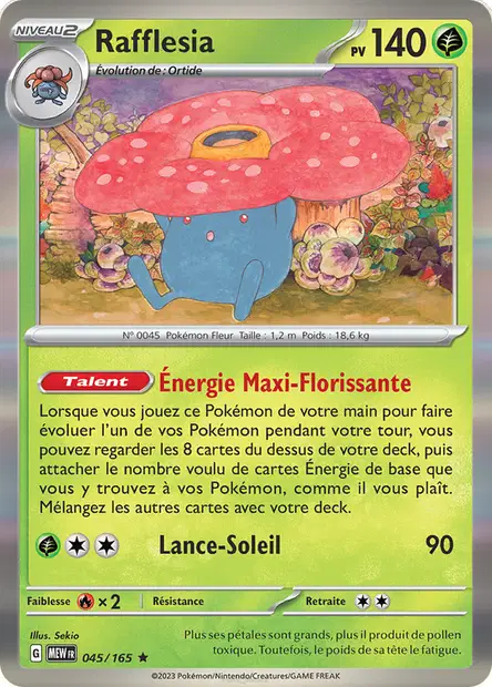 Rafflesia