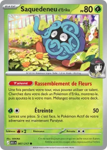 Saquedeneu de Erika