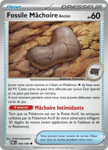 Fossile Mâchoire Ancien