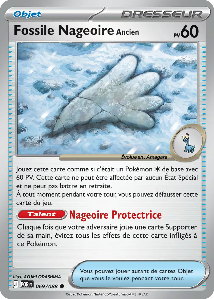 Fossile Nageoire Ancien
