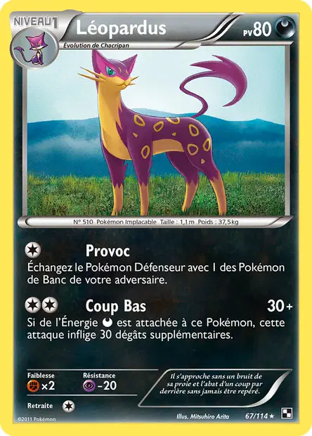 Léopardus