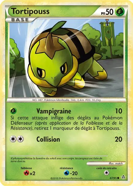 Tortipouss
