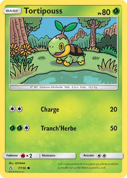 Tortipouss