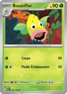 Boustiflor