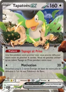 Tapatoès