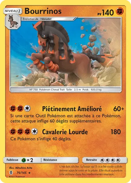 Bourrinos