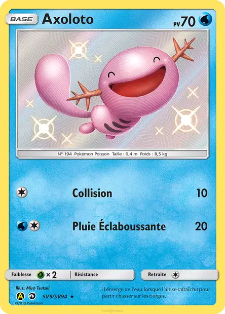 Bruyverne