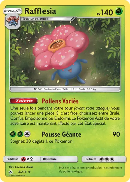 Rafflesia