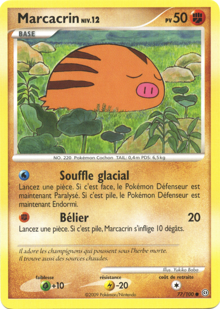 Marcacrin