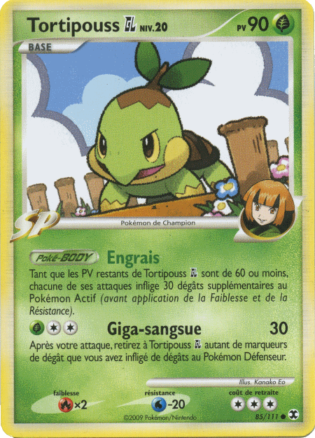 Tortipouss&nbsp;