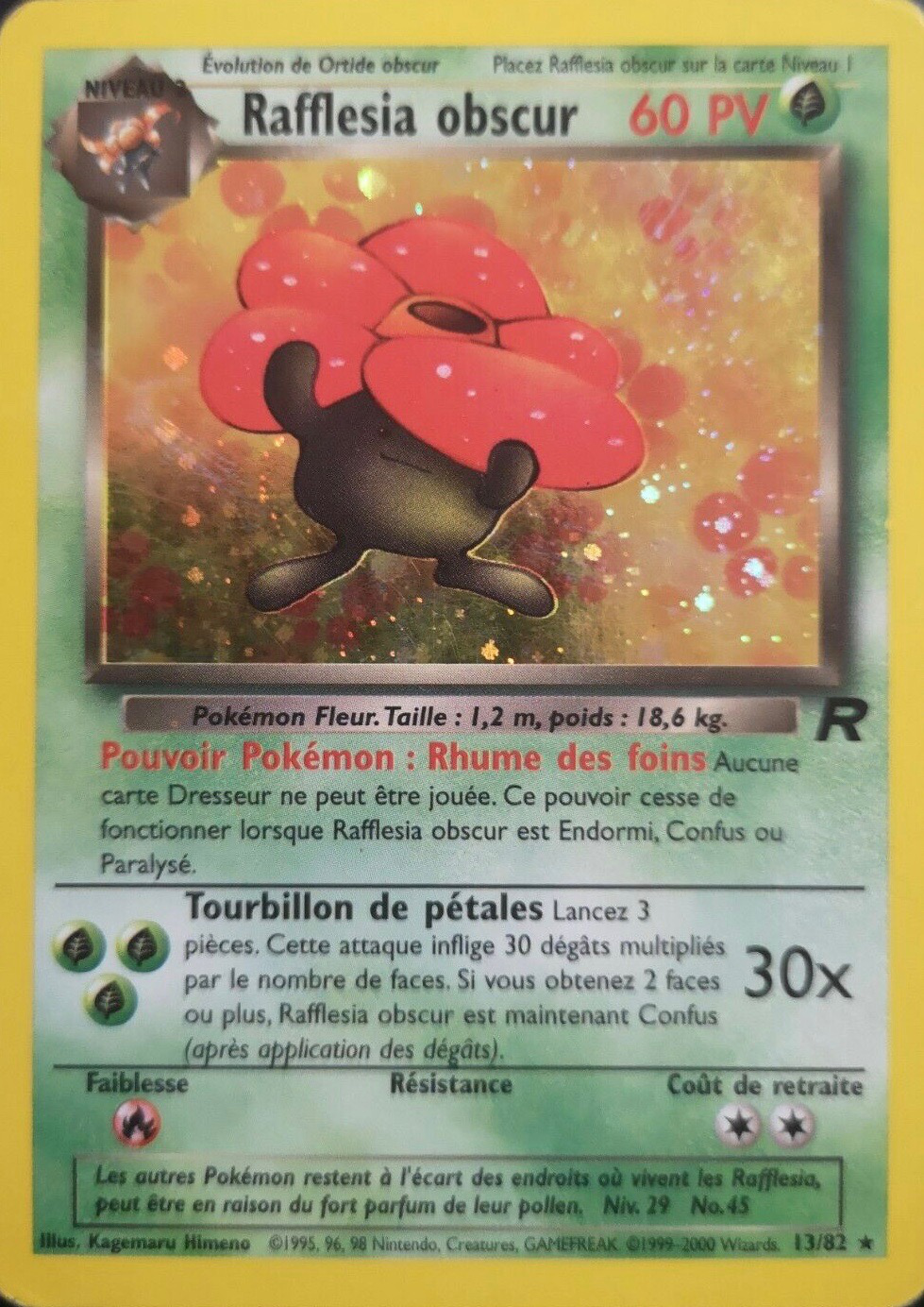 Rafflesia obscur
