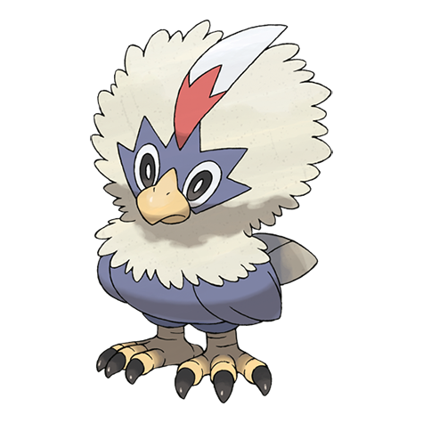 Rufflet.