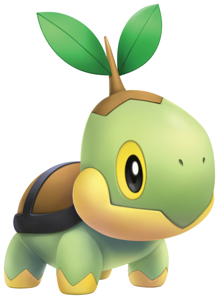 Tortipouss.