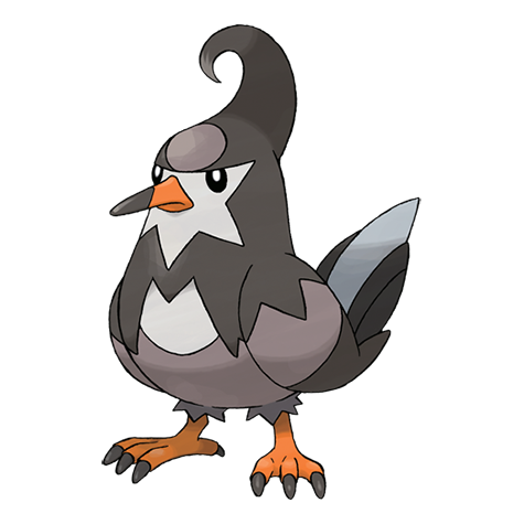 Staravia.