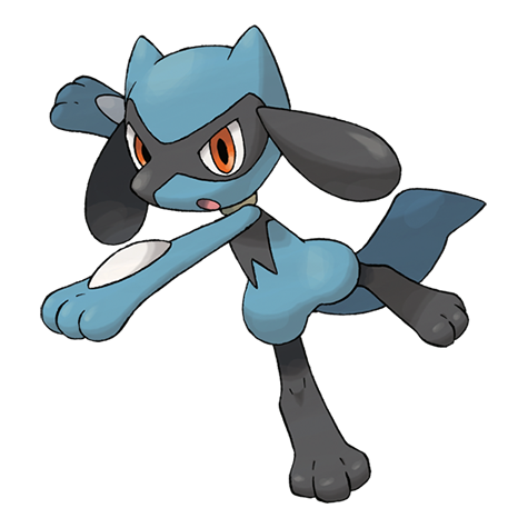 Riolu.