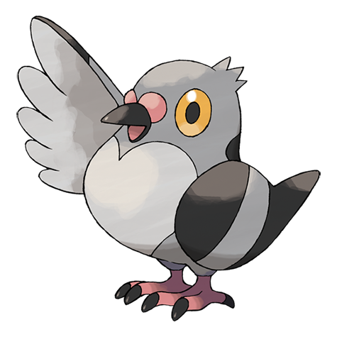 Poichigeon.