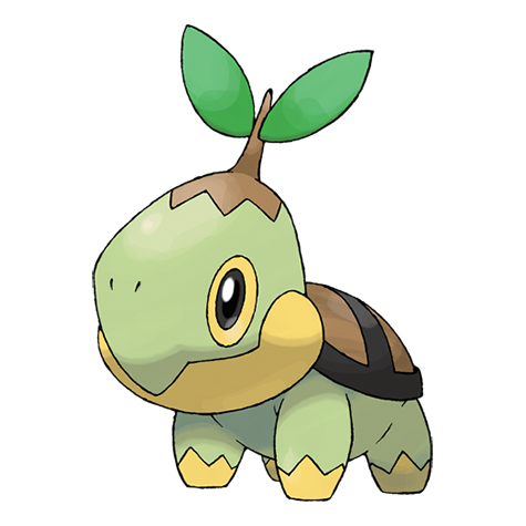 Tortipouss.