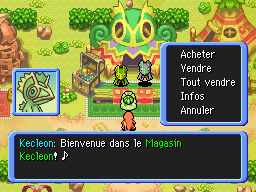 Le Magasin Kecleon.