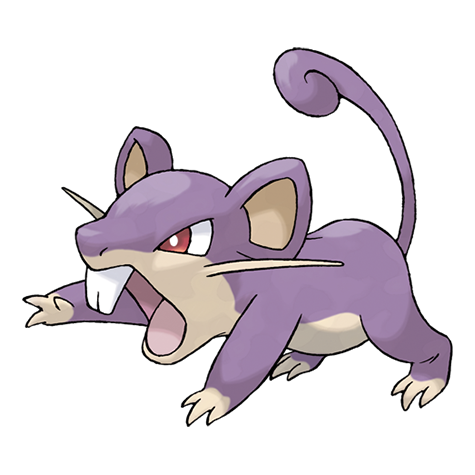 Rattata.
