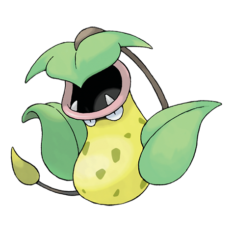 Empiflor.