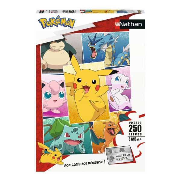 Puzzle 250 pièces Types de Pokémon (Nathan)