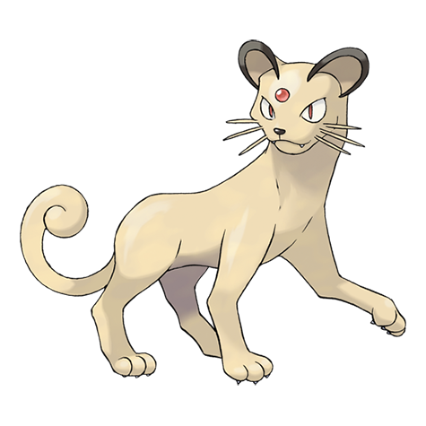 Persian.