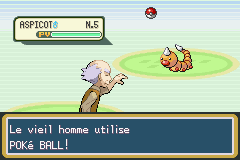 La leçon de capture