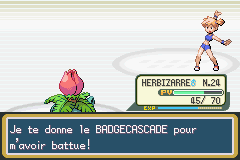 Le Badge Cascade