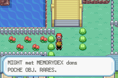 Le Memorydex
