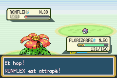 Ronflex est attrapé !