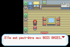 Lostelle est aux Bois Baies