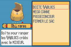 La Boîte Pokéblocs, dans le sac