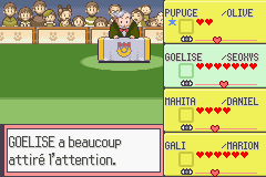 Un Goélise qui attire tous les regards