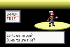 Garçon ou fille : le premier choix de l'aventure