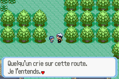 Un cri retentit sur la Route 101