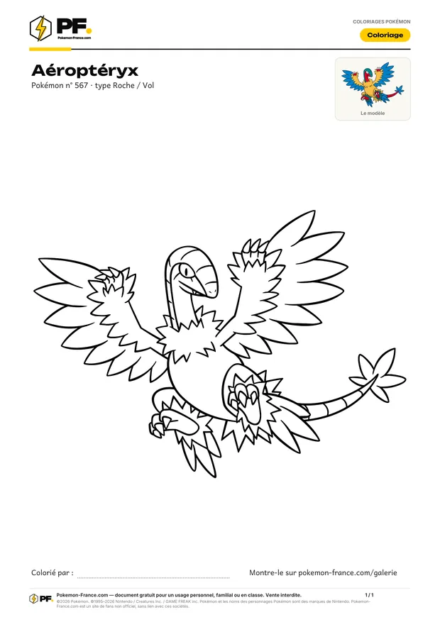Coloriage Aéroptéryx à imprimer au format A4