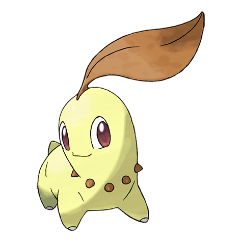 Chikorita cromatico
