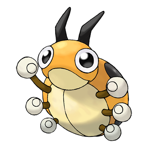 Ledyba schillernd