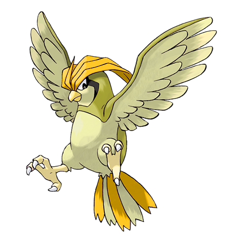Pidgeotto shiny