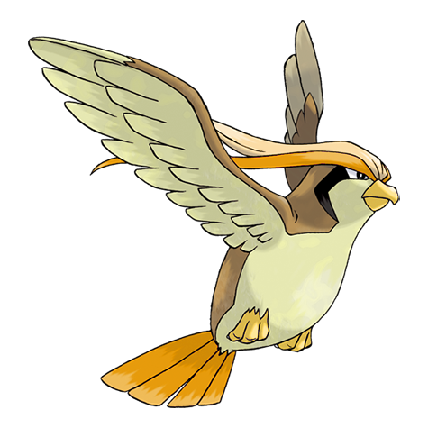 Pidgeot shiny