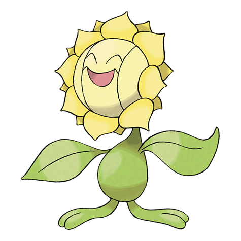 Sunflora variocolor
