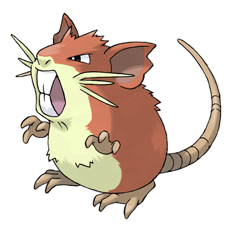 Raticate shiny