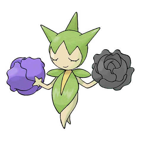 Roselia schillernd