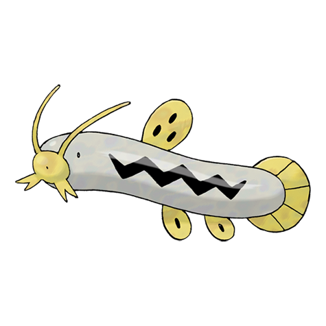 Barboach cromatico