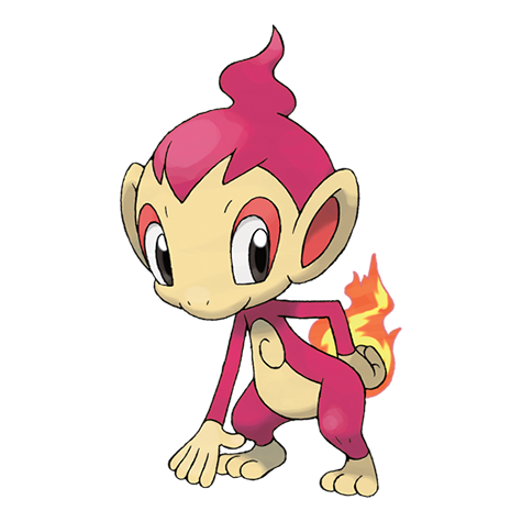 Shiny Chimchar